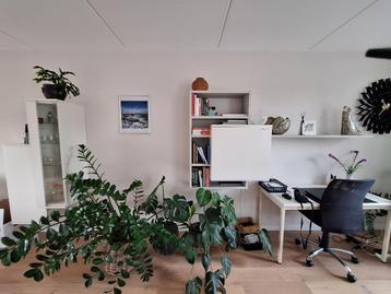Mooie witte kasten aparte vormgeving beschikbaar voor biedingen