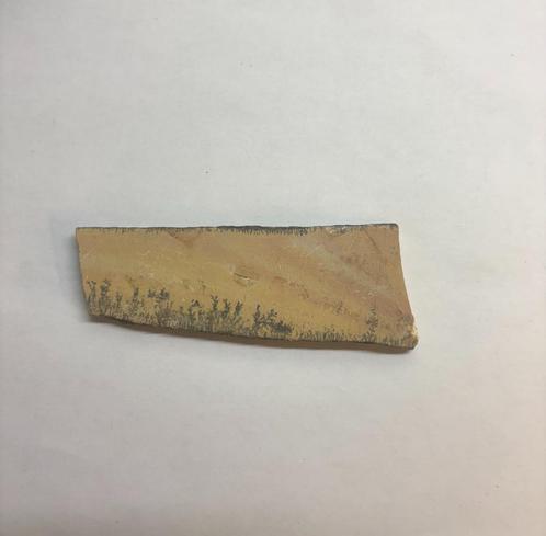 Dendriet fossiel (6), Verzamelen, Mineralen en Fossielen, Fossiel, Ophalen of Verzenden