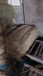 Hooi kleine balen zomer 2025, Dieren en Toebehoren, Dierenvoeding, Ophalen, Vee