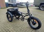 driewielfiets driewiellerfiets Addmotor VanRaam Easy Rider, Ophalen, Zo goed als nieuw, Addmotor M-360