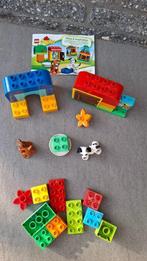 Duplo 10570 Alles in 1 cadeauset hond en kat - compleet, Ophalen of Verzenden, Zo goed als nieuw, Complete set, Duplo