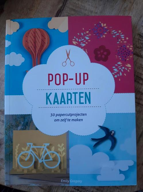Emily Gregory - Pop-up kaarten, Boeken, Hobby en Vrije tijd, Zo goed als nieuw, Ophalen of Verzenden