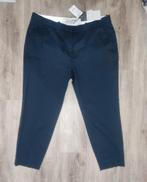 Pantalon Promiss nieuw!, Kleding | Dames, Broeken en Pantalons, Nieuw, Lang, Maat 42/44 (L), Ophalen of Verzenden