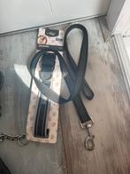 Halsband met riem, Ophalen of Verzenden, Nieuw