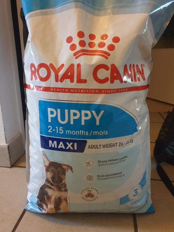 Royal Canin Puppy Maxi ongeopende zak 15kg, Dieren en Toebehoren, Dierenvoeding, Hond, Ophalen