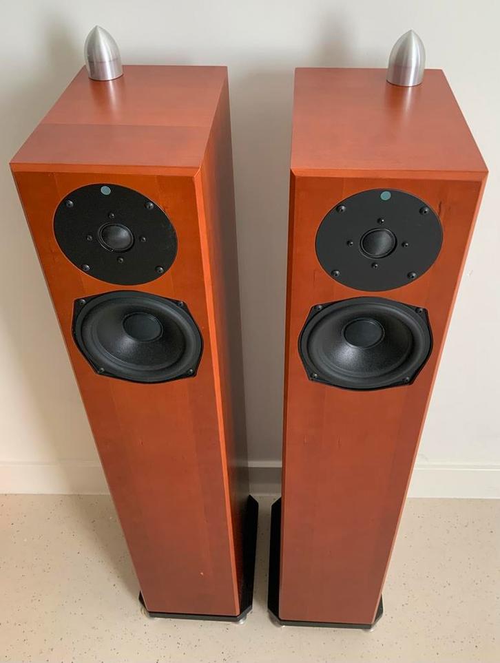 Set exclusieve speakers Totem Acoustic Sttaf, 20-100 Watt., Audio, Tv en Foto, Luidsprekers, Zo goed als nieuw, Front, Rear of Stereo speakers