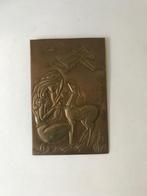Messing / karton wanddecoratie 'Jonge vrouw met een ree', Ophalen of Verzenden, Gebruikt