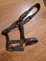 Schockemohle safety halster maat Cob zgan, Dieren en Toebehoren, Paarden en Pony's | Hoofdstellen en Tuigage, Ophalen of Verzenden