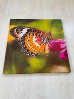 Canvas Schilderij Vlinder 50x50 cm, Ophalen of Verzenden, Zo goed als nieuw