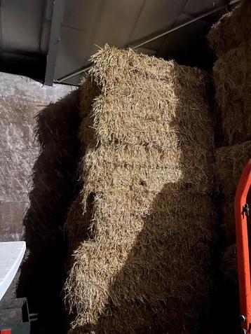 Grote balen tarwe stro beschikbaar voor biedingen