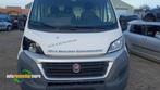 Motorkap van een Fiat Ducato (549), Gebruikt, -, -, Fiat