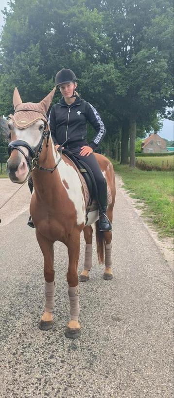 Bijrijder gezocht  beschikbaar voor biedingen