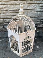 ijzeren vogelkooi, Ophalen of Verzenden