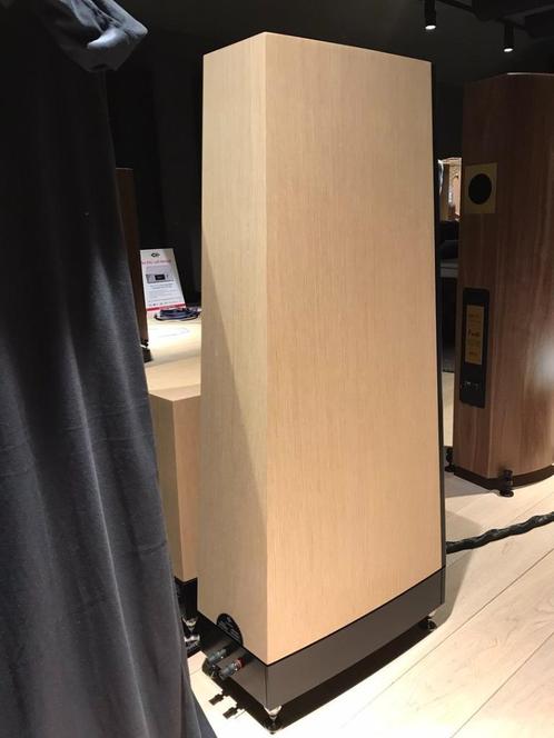 YG Acoustics – ASCENT – TOP HIGHEND SPEAKER – SPOTPRIJS !, Audio, Tv en Foto, Luidsprekers, Zo goed als nieuw, Front, Rear of Stereo speakers