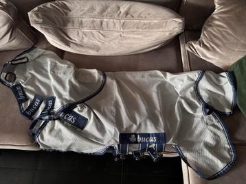 Bucas vliegen deken voor de mini beschikbaar voor biedingen