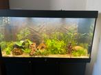 Juwel Aquarium, Dieren en Toebehoren, Vissen | Aquaria en Toebehoren, Ophalen, Zo goed als nieuw, Leeg aquarium