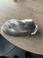 Carnavalspruik, Kleding | Dames, Carnaval, Maat 42/44 (L), Nieuw, Ophalen of Verzenden