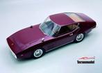 Ferrari 250 GT Drogo TM18304 Tecnomodel PRE-ORDER, Hobby en Vrije tijd, Modelauto's | 1:18, Ophalen of Verzenden, Nieuw, Auto