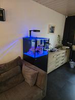 Red Sea aquarium XL 200 G2 alleen display/glas! (afgekeurd!), Ophalen, Leeg aquarium