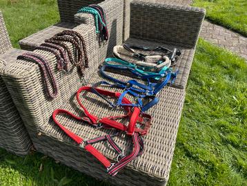 Halsters FULL/COB/PONY    zolderopruiming 7 stuks beschikbaar voor biedingen