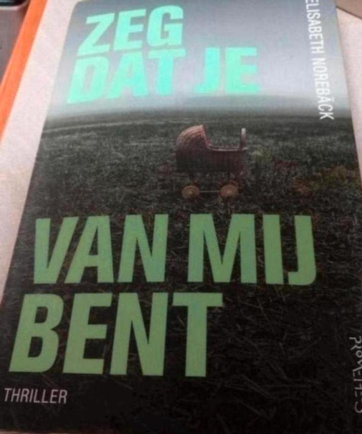 Zeg dat je van mij bent - Elisabeth Norebäck, Boeken, Thrillers, Zo goed als nieuw, Europa overig, Ophalen of Verzenden