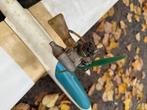2x modelvliegtuig hobby sportvliegtuigen  grootformaat, Gebruikt, Groter dan 1:72, Vliegtuig, Ophalen