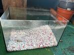 Aquarium, Dieren en Toebehoren, Vissen | Aquaria en Toebehoren, Ophalen of Verzenden, Zo goed als nieuw, Leeg aquarium