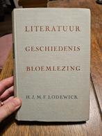 H.J.M.F. Lodewick - Literatuur geschiedenis bloemlezing, Boeken, Ophalen of Verzenden, Zo goed als nieuw
