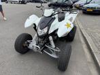 Goes ACCESS MOTOR SP300-S Automaat Gordel 19 PK, Scooter, Bedrijf, 280 cc, Goes