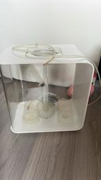 Aquarium, Ophalen, Zo goed als nieuw, Leeg aquarium