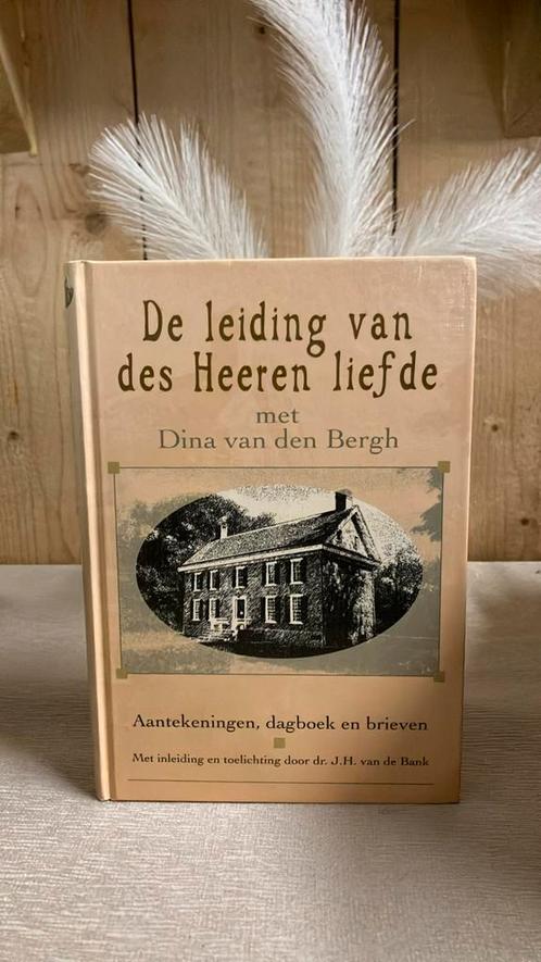 KR-2De leiding v des Heeren liefde met Dina v den Bergh (Ams, Boeken, Godsdienst en Theologie, Zo goed als nieuw, Ophalen of Verzenden