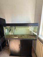 Juwel Rio 180 Aquarium (Met toebehoren), Dieren en Toebehoren, Vissen | Aquaria en Toebehoren, Ophalen, Gebruikt, Leeg aquarium
