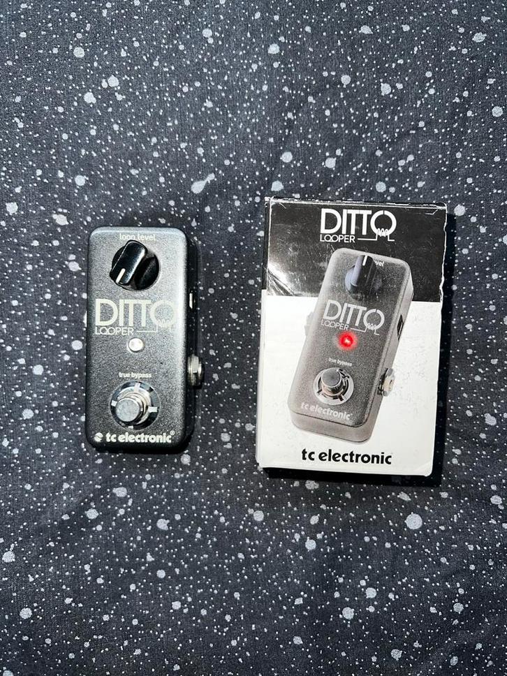 TC Electronic Ditto Looper - Gitaar Effectpedaal, Muziek en Instrumenten, Effecten, Zo goed als nieuw, Overige typen, Ophalen of Verzenden