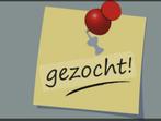 Weide, Dieren en Toebehoren, Stalling en Weidegang, Weidegang, 1 paard of pony