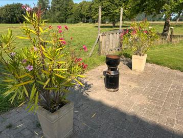 2 mooie  bloembakken  te koop beschikbaar voor biedingen