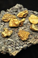50 Genuine Alaskan Gold Nuggets Goldpieces Purity 21-23kt, Ophalen of Verzenden, Goud