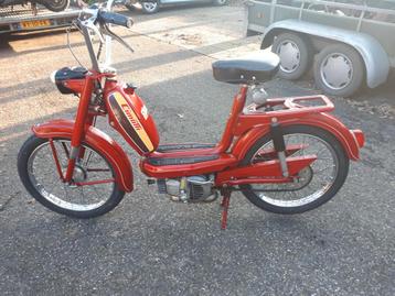 zeer orginele cimatti beschikbaar voor biedingen