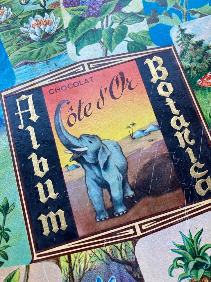 Cote d’ Or botanica plaatjes plaatjes album., Boeken, Prentenboeken en Plaatjesalbums, Gelezen, Plaatjesalbum, Ophalen