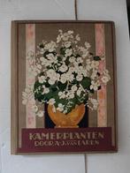 Verkade Kamerplanten Plaatjesboek, Boeken, Prentenboeken en Plaatjesalbums, Ophalen of Verzenden