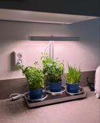 Kweeklamp / Groeilamp voor planten, Ophalen, Nieuw, Kweeklamp