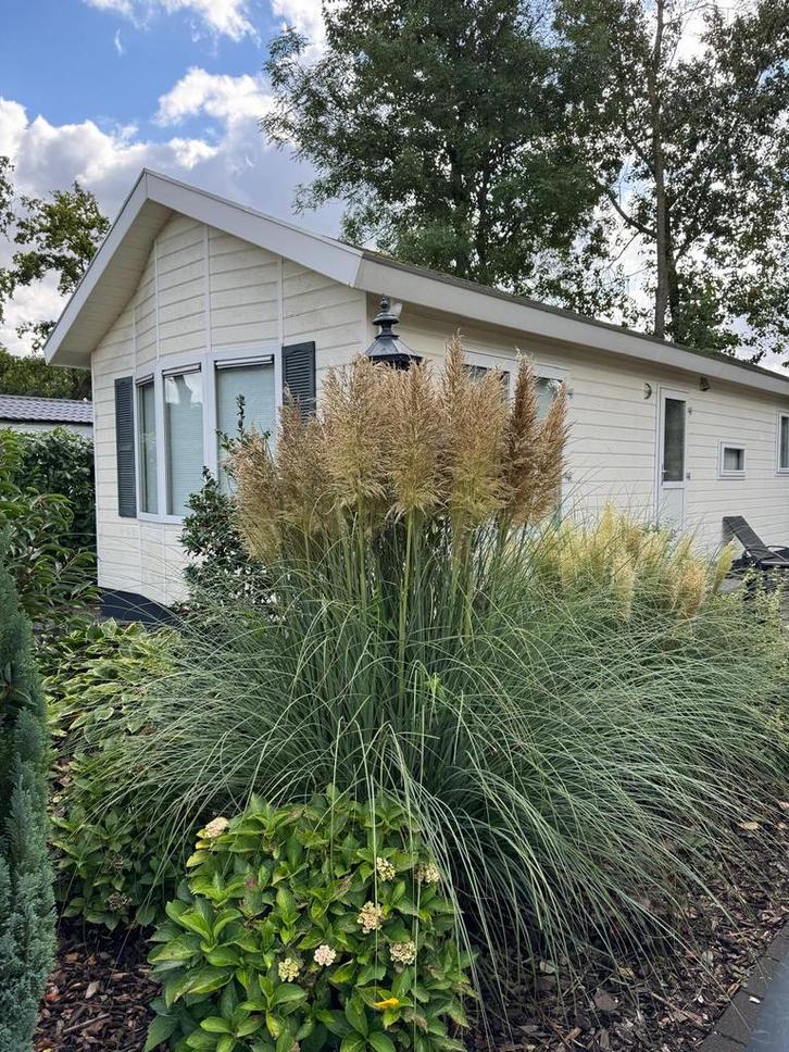 Luxe chalet op de Veluwe, Caravans en Kamperen, Stacaravans, tot en met 2, Ophalen