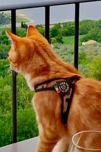 Kattentuigje Treponti, Dieren en Toebehoren, Ophalen of Verzenden, Zo goed als nieuw