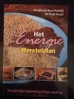 T. Visser - Het Energie Herstelplan, Ophalen of Verzenden, Zo goed als nieuw, T. Visser; M. de Waal