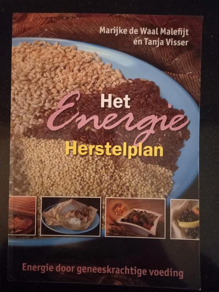 T. Visser - Het Energie Herstelplan, Boeken, Kookboeken, Zo goed als nieuw, Ophalen of Verzenden