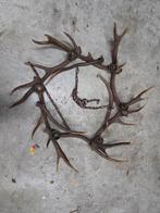 Prachtige antieke geweien kroonluchter, Ophalen of Verzenden, Gebruikt