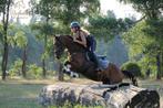 Fantastische leerpony D 142 te koop, Dieren en Toebehoren, Pony's, Merrie, Springpony, 7 tot 10 jaar, D pony (1.37m tot 1.48m)