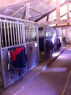 Pensionstalling in Angeren, Dieren en Toebehoren, Stalling en Weidegang, Stalling