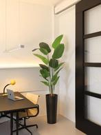 Strelitzia Kunstplant 180 cm - Net echt, Ophalen, Zo goed als nieuw, Binnen