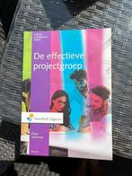 De effectieve projectgroep 3e druk- Klaas Schermer, Ophalen of Verzenden, Zo goed als nieuw, Overige niveaus