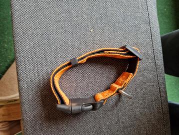 Reflecterende halsband middel grote hond beschikbaar voor biedingen